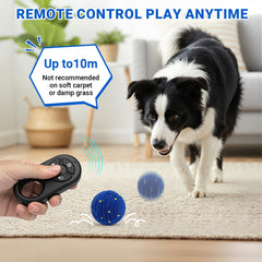 PETSWEET bounce-mode dog toy image emphasizes fast, energetic play sessions.