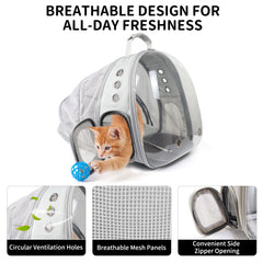 PETSWEET safety harness keeps your pet secure inside the carrier.