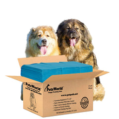 PETSWORLD enormous dog training potty pad 37x54 inches laid out for large breeds keeps floors dry.