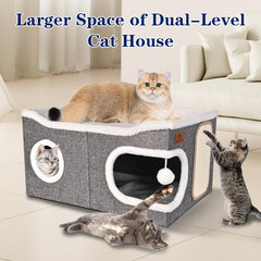 PETTDATE round windows and hanging toy balls spark playful exploration.