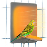 PetTemp bird heater combo cage-mounted-perch demonstrates balanced warmth for small birds in drafts
