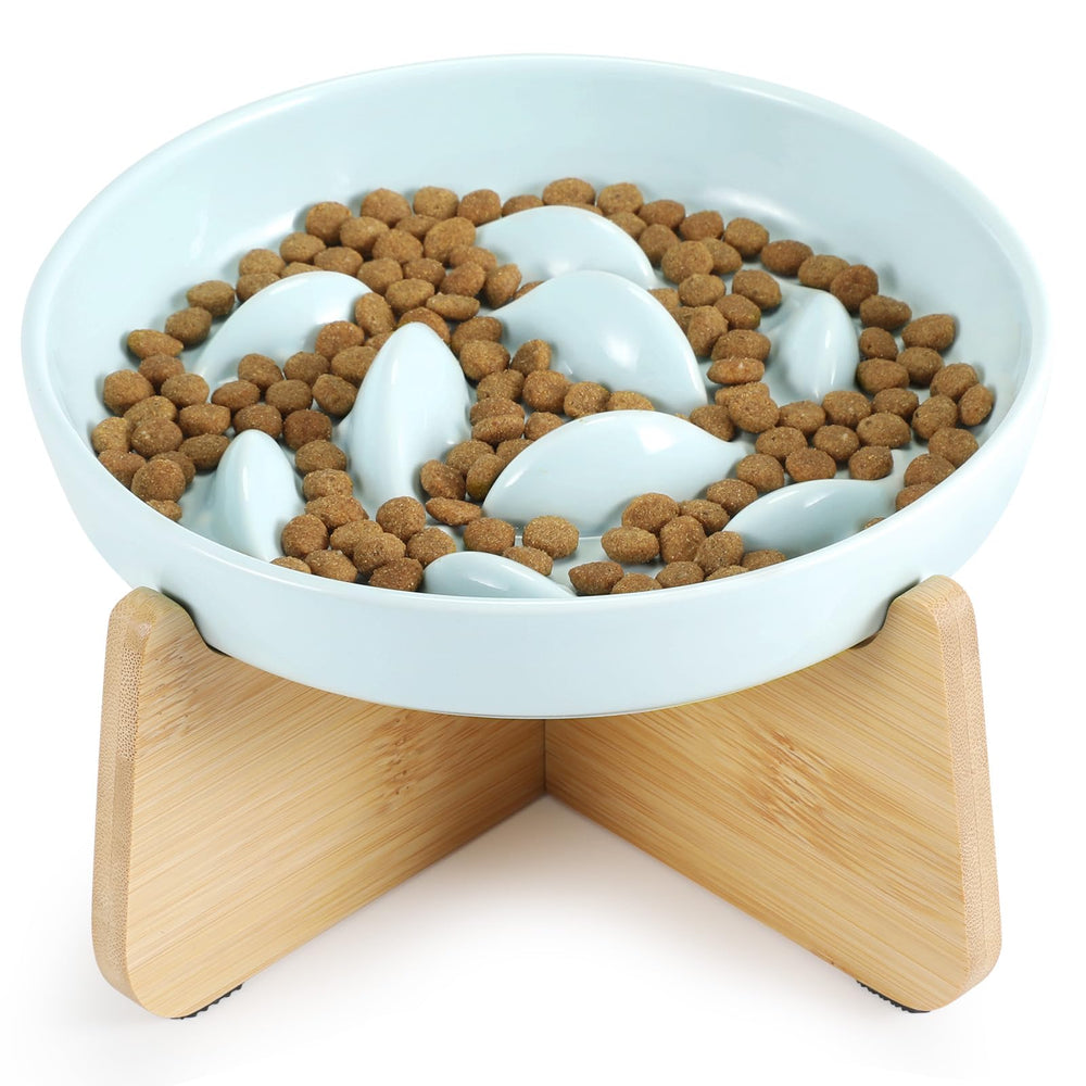 PETTOM slow feeder cat bowl on stand for comfortable feeding