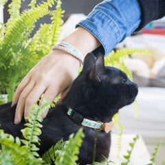 Pettsie matching owner bracelet in green symbolizing bond