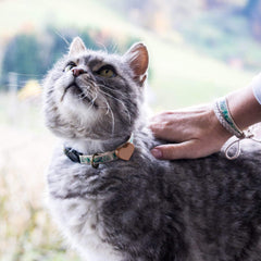Pettsie soft cotton collar close-up highlighting lightweight comfort