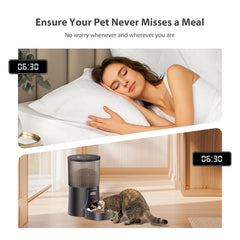 PETULTRA automatic feeder dispensing meals on schedule for pets.