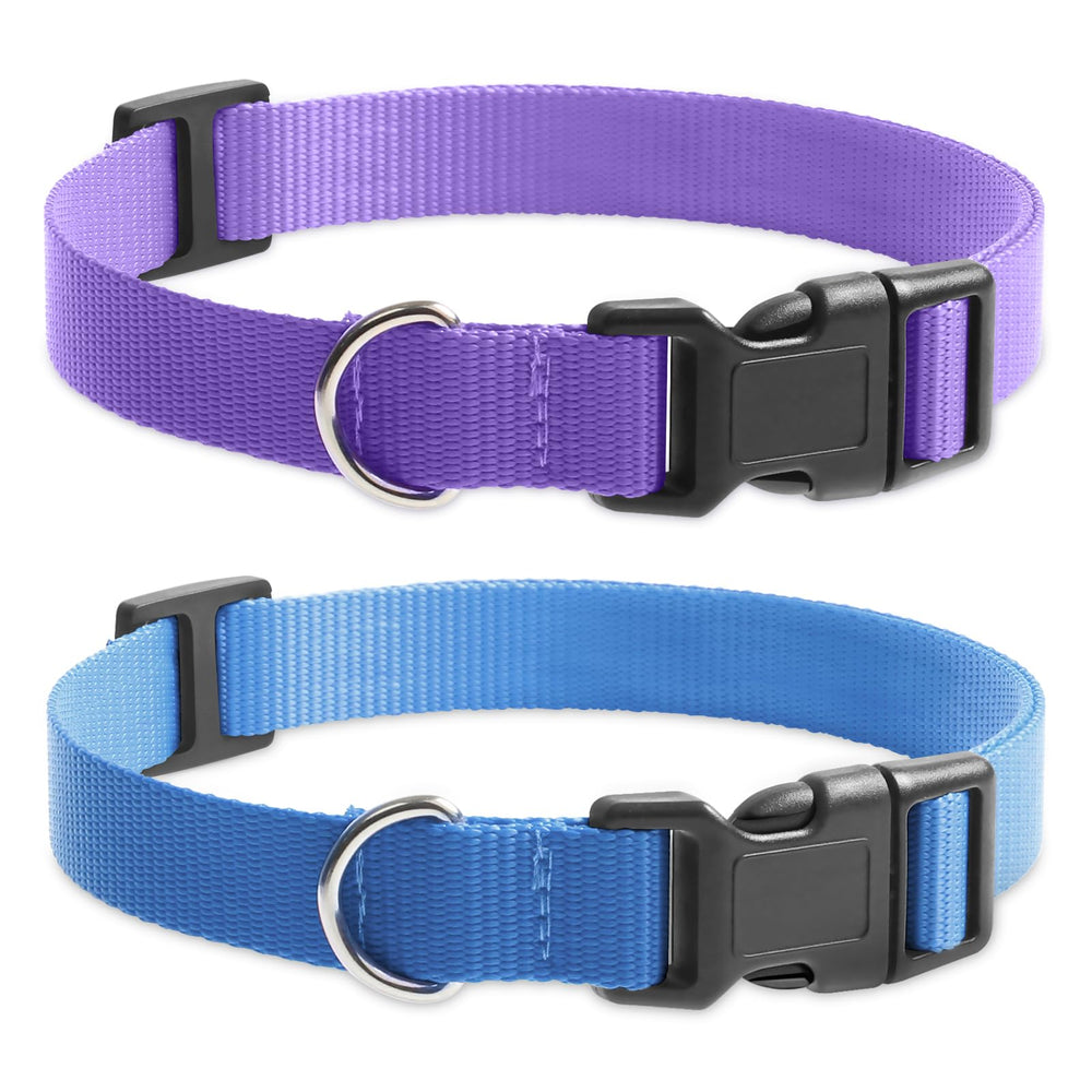 PETURE replacement collar purple buckle close-up for quick on-off training.