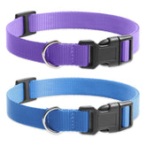PETURE replacement collar purple buckle close-up for quick on-off training.