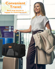 PETUX carrier shows safety zippers and anti-scratch mesh for secure journeys