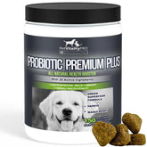 PetVitalityPRO probiotics for dogs bottle highlights digestive and immune support.