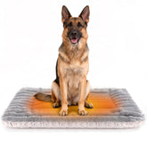 Petvolve cama auto-calentante con franela suave en la base, ideal para siestas en casa.