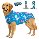 PetWarm dog recovery suit with soft breathable fabric for post-surgery comfort