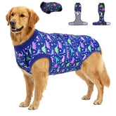 PetWarm dog recovery suit in soft fabric for comfortable healing.