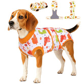 PetWarm post-surgery dog onesie yellow dinosaur pattern front view protects surgical area