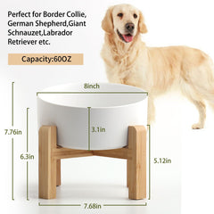 Petygooing ceramic dog food bowl highlights durable porcelain and easy cleaning.