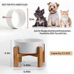 Petygooing porcelain pet dish is lead-free and easy to clean