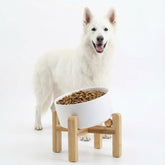 Petygooing white elevated tilted bowl on wood stand for ergonomic feeding and anti-slip stability.