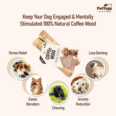 PetYupp coffee wood dog chew in gnawing action helps calm anxious pups