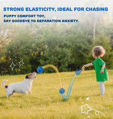 PetZee Indestructible Toy twist-ball promotes curiosity during play.