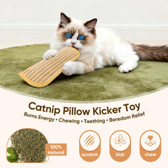 PetZen Garden organic catnip aroma highlights long-lasting engagement for playtime.