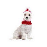 PEUTIER Christmas dog hat with red pompon for festive dress-up and warmth.