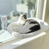 Peyela cat window perch assembly demonstrates quick install and secure mounting.