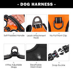 PHOEPET XL orange harness back handle aids in lifting dogs into cars and_bed.