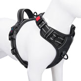 PHOEPET No Pull Harness front-clip for reduced pulling during walks.
