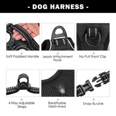 PHOEPET reflective material increases visibility at night for safety.