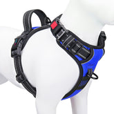 PHOEPET No Pull Harness front clip in royal blue improves control during walks