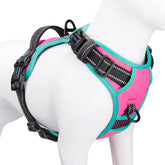 PHOEPET no-pull harness front view pink for comfortable daily walks