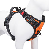 PHOEPET reflective harness on a large breed dog boosts daytime and nighttime visibility.
