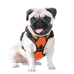 PHOEPET three-buckle design in orange offers secure, adjustable fit.