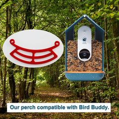 PIAOLGYI acrylic perch for Bird Buddy with clear viewing.