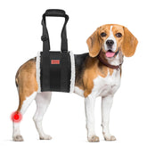 PICK FOR LIFE adjustable dog lift harness front view aids gentle rear-leg support for mobility