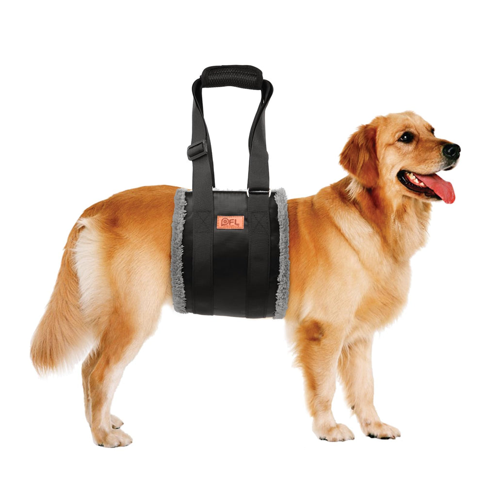 PICK FOR LIFE adjustable dog lift harness rear view supports hind legs