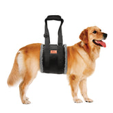 PICK FOR LIFE adjustable dog lift harness rear view supports hind legs