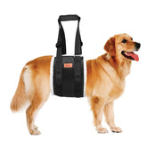 PICK FOR LIFE adjustable dog lift harness rear view shows hind-leg support for standing.