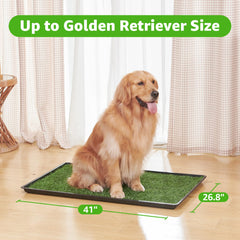 PICK FOR LIFE artificial-turf visual encourages indoor potty sessions.