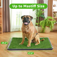 PICK FOR LIFE dog grass large potty patch tray base reveals durable collection system for mess-free cleaning.