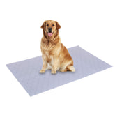 PICK FOR LIFE dog grass large potty patch tray setup shows a tidy indoor training area.