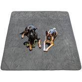 Pick For Life dog pee pad 65x48 inch, large size for training and housebreaking.