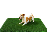 PICK FOR LIFE Grass Pad 32x48 inches, front view, roomy soft potty surface for dogs.