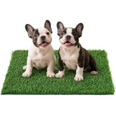 PICK FOR LIFE grass pad on balcony for indoor potty training and easy cleanup.