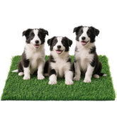PICK FOR LIFE grass pad close-up shows soft grass fibers for puppy potty training