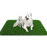 PICK FOR LIFE grass pad for dogs shows a large 39x31.5 inch turf ideal for indoor potty training.