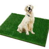 PICK FOR LIFE Grass Pad for Dogs wide view shows ample potty space.
