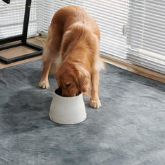PICK FOR LIFE whelping area pad demonstrates ample 60x60 space for early care.