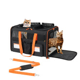 Pidipiti 22x16x14 large double pet carrier body showing roomy interior for two pets