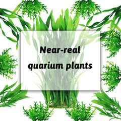 PietyPet Plastic plants are rot-free and do not pollute the water.