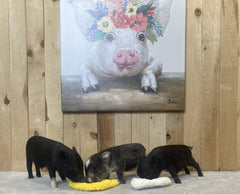 Piggy Poo and Crew made-in-usa image emphasizes USA-made toy quality.